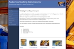 AUEE CONSULTING SERVICES