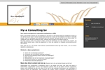 HY-A CONSULTING BV