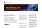 HOLLANDIUM MANAGEMENT CONSULTANCY BV