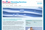 DOMINGO CLEANING SERVICES
