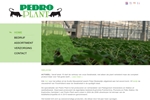 PEDRO PLANT