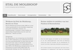 MOLSHOOP STAL DE