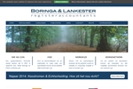 BORINGA & LANKESTER REGISTERACCOUNTANTS