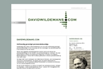 DAVIDWILDEMANS.COM