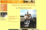 DANSSCHOOL SPAANS LOS DE MALAGA