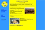 PELICAN TOURS TRAVEL AND DIVING
